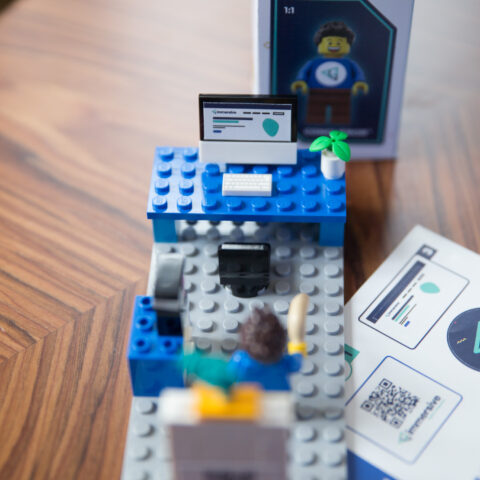 Montage Lego de dos